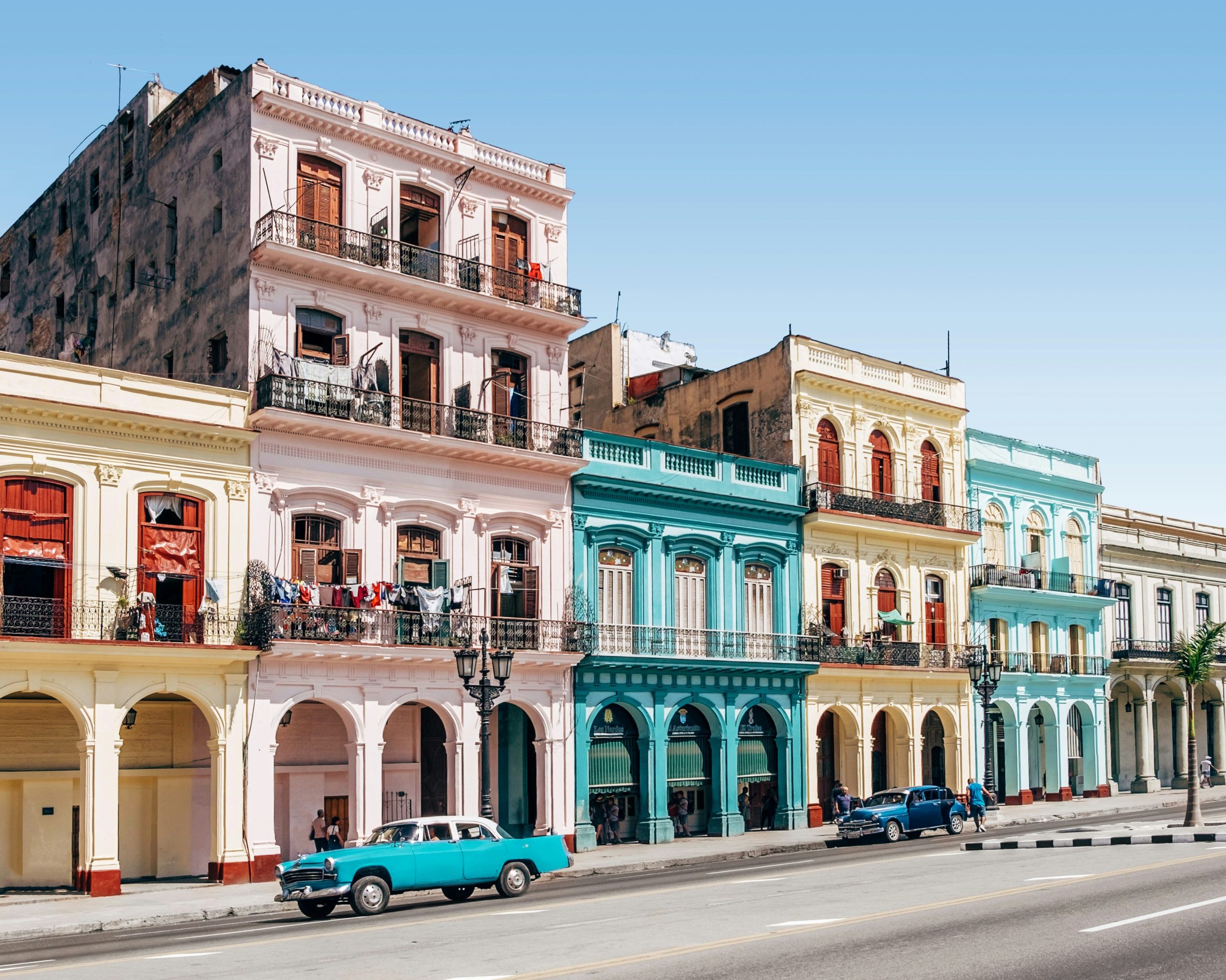 Cuba, como los bonsáis